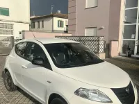 Usata Lancia Ypsilon 85 CV (62 kW) 2015 Bianco Utilitaria
