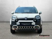 Usata Fiat Panda Cross Cross 90 CV (66 kW) 2015 Bianco Utilitaria
