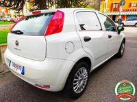 usata Fiat Punto 1.2 8V 5 porte Street NEOPATENTATI