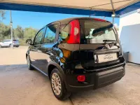 Usata Fiat Panda Cross Cross 70 CV (51 kW) 2023 Nero Utilitaria