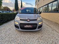 usata Fiat Panda 1.0 FireFly S&S Hybrid 70cv MT6 - OK Neopatentati