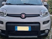 Usata Fiat Panda 4x4 85 CV (62 kW) 2013 Utilitaria