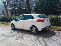 Usata Kia Rio 85 CV (62 kW) 2014 Bianco Utilitaria