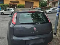 Usata Fiat Punto Lounge 69 CV (50 kW) 2014 Utilitaria