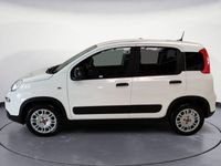 usata Fiat Panda 1.0 GSE S&S Hybrid Easy Van 4 posti nuova a Pordenone