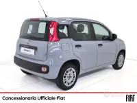 Usata Fiat Panda Easy 70 CV (51 kW) 2020 Grigio Utilitaria