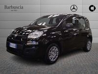 Usata Fiat Panda Icon 69 CV (50 kW) 2025 Nero Utilitaria