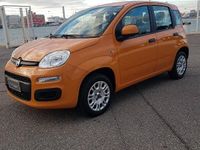Usata Fiat Panda Easy 69 CV (50 kW) 2020 Nessuno(met.) Utilitaria