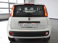 Usata Fiat Panda Easy 69 CV (50 kW) 2020 Bianco Utilitaria