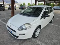 Usata Fiat Punto Lounge 69 CV (50 kW) 2014 Bianco Utilitaria
