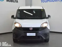Usata Fiat Doblò Business 120 CV (88 kW) 2020 Bianco Monovolume