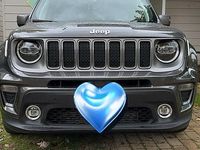Usata Jeep Renegade 2019 Grigio SUV