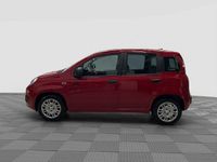 Nuova Fiat Panda Icon 65 CV (47 kW) 2025 Rosso passione con tetto nero Utilitaria