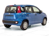 Nuova Fiat Panda Icon 65 CV (47 kW) 2026 Azzurro Utilitaria