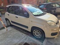 Usata Fiat Panda Young 80 CV (58 kW) 2014 Beige Utilitaria