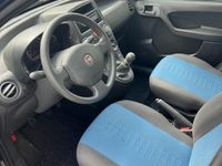 usata Fiat Panda 2011 nuova