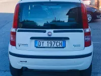 Usata Fiat Panda Dynamic 60 CV (44 kW) 2009 Bianco Utilitaria