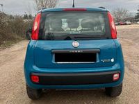 Usata Fiat Panda 86 CV (63 kW) 2013 Blu Berlina