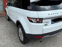 Usata Land Rover Range Rover evoque Pure 150 CV (110 kW) 2013 Bianco SUV