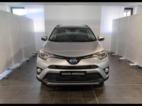 usata Toyota RAV4 Hybrid 2WD Lounge del 2017 usata a Torino