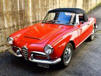 Usata Alfa Romeo Giulia Spider 91 CV (66 kW) 1962 Rosso a02 Cabrio