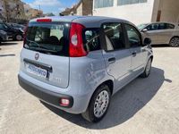 usata Fiat Panda 1.0 FireFly S&S Hybrid