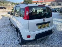 usata Fiat Panda 4x4 1.3 mjt 16v 75cv