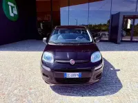 Usata Fiat Panda 69 CV (50 kW) 2020 Nero Utilitaria