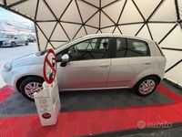 Usata Fiat Punto Lounge 77 CV (56 kW) 2014 Grigio Utilitaria