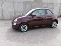 Usata Fiat 500 Lounge 69 CV (50 kW) 2019 Viola Berlina