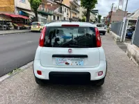 Usata Fiat Panda City Life 69 CV (50 kW) 2021 Bianco Utilitaria