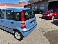 usata Fiat Panda Panda 1.3 MJT 16V Dynamic