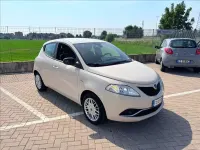 Usata Lancia Ypsilon Silver 69 CV (50 kW) 2016 Beige Utilitaria