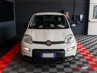 Usata Fiat Panda S 70 CV (51 kW) 2023 Bianco Utilitaria