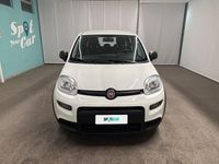 Usata Fiat Panda S 70 CV (51 kW) 2023 Bianco Utilitaria