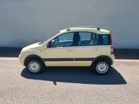 Usado Fiat Panda 4x4 Climbing 60 CV (44 kW) 2006 Amarillo Utilitario
