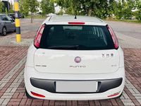 Usata Fiat Punto Easy 69 CV (50 kW) 2010 Bianco Utilitaria