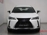 Usado Lexus UX 250h Executive Line 184 CV (135 kW) 2022 Blanco SUV