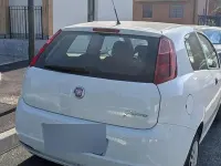 Usata Fiat Punto Evo Active 69 CV (50 kW) 2011 Bianco Utilitaria