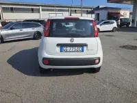 Usata Fiat Panda Connect 69 CV (50 kW) 2021 Bianco Utilitaria