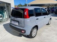 Occasion Fiat Panda S 70 ch (51 kW) 2022 Gris Citadine