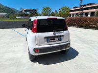 Occasion Fiat Panda 4x4 85 ch (62 kW) 2021 Blanc Citadine