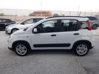 Usata Fiat Panda 70 CV (51 kW) 2024 Bianco Utilitaria