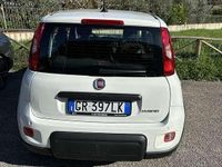 Usata Fiat Panda City Life 69 CV (50 kW) 2023 Utilitaria