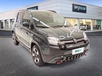 usata Fiat Panda 1.0 FireFly Hybrid