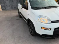 Usata Fiat Panda 69 CV (50 kW) 2021 Grigio Utilitaria