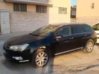 Usata Citroën C5 163 CV (119 kW) 2010 Station wagon