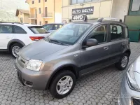 Usata Fiat Panda 4x4 Climbing 60 CV (44 kW) 2010 Grigio Utilitaria