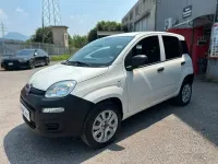 Usata Fiat Panda Pop 80 CV (58 kW) 2021 Bianco Utilitaria