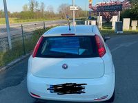 Usata Fiat Punto Evo 75 CV (55 kW) 2017 Bianco Utilitaria